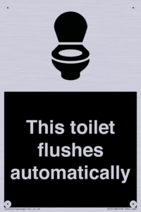 This toilet flushes automatically